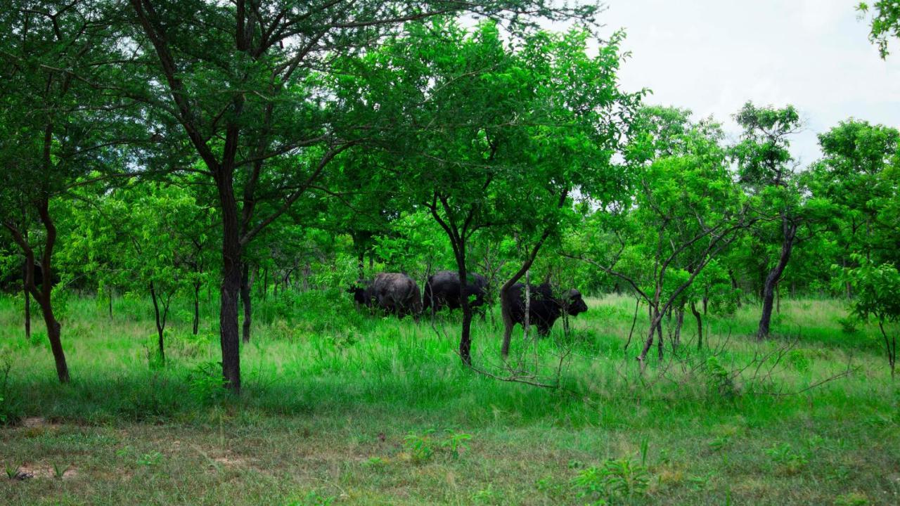 Mantis Lodge & Camping Site Morogoro Экстерьер фото